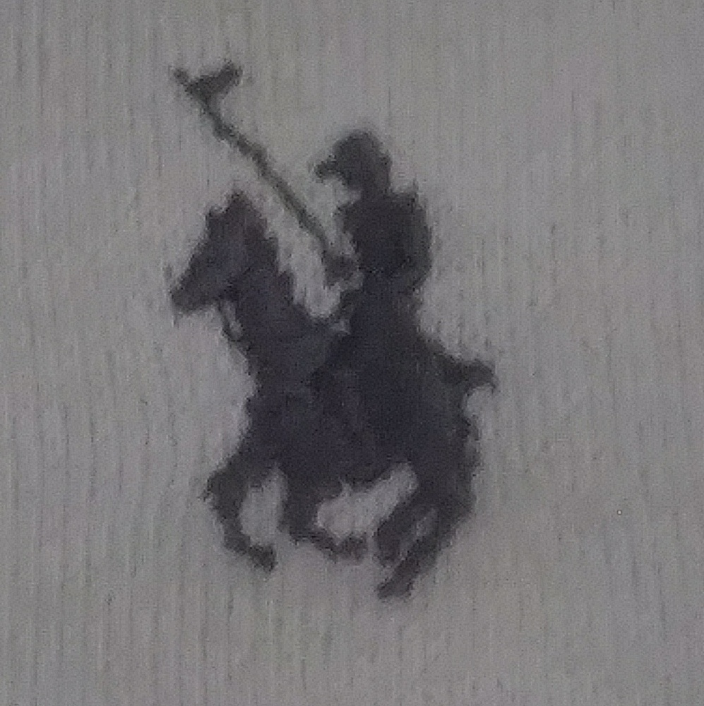Polo white button up V-neck
